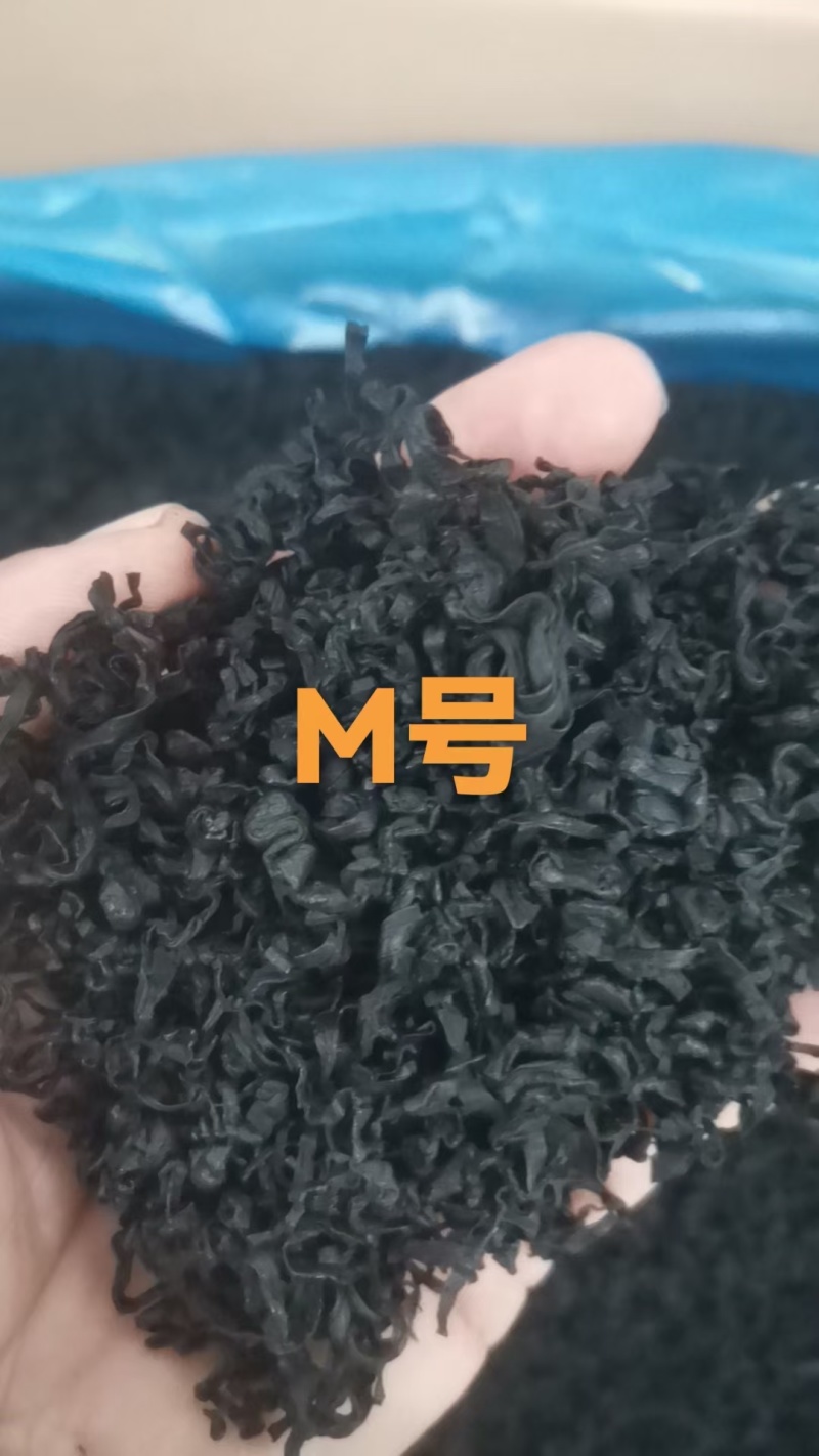 电商款裙带菜，螺旋藻裙带菜展会地摊电商淡L级M级