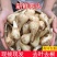 现挖重庆新鲜藠头电商一件