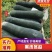 铁皮冬瓜