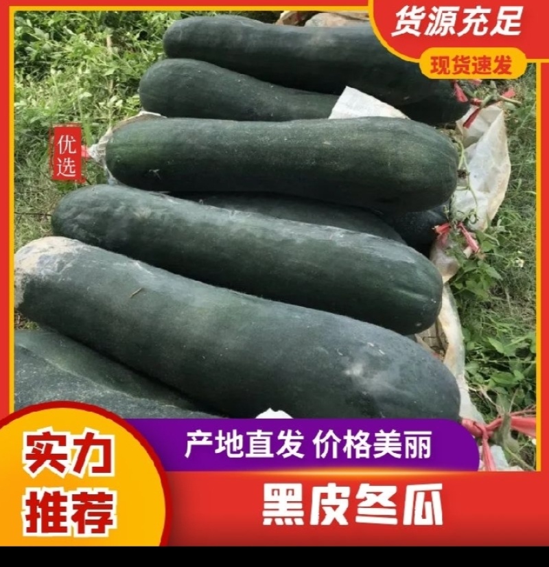 铁皮冬瓜