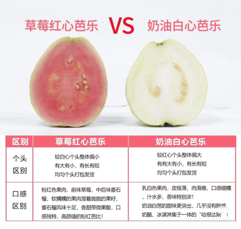 广东番石榴红心芭乐珍珠白芭乐一件果场直发量大优惠