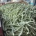 河南白芸豆（白不老）大量上市优质推荐量大从优可对接商超市场