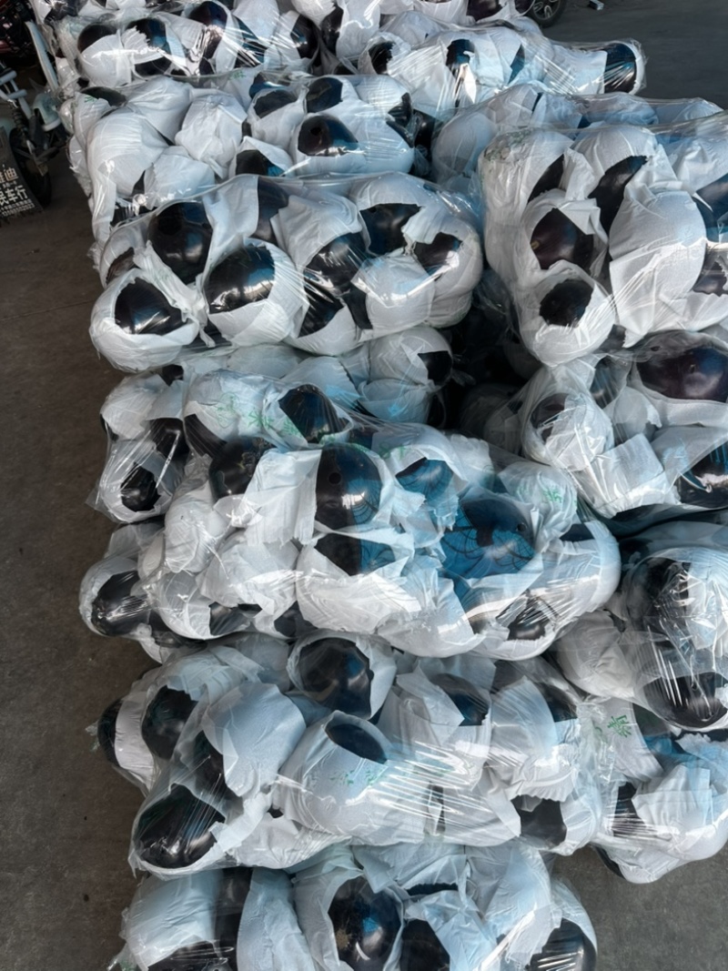 河南精品圆茄大量上市量大从优保质保量可对接商超市场