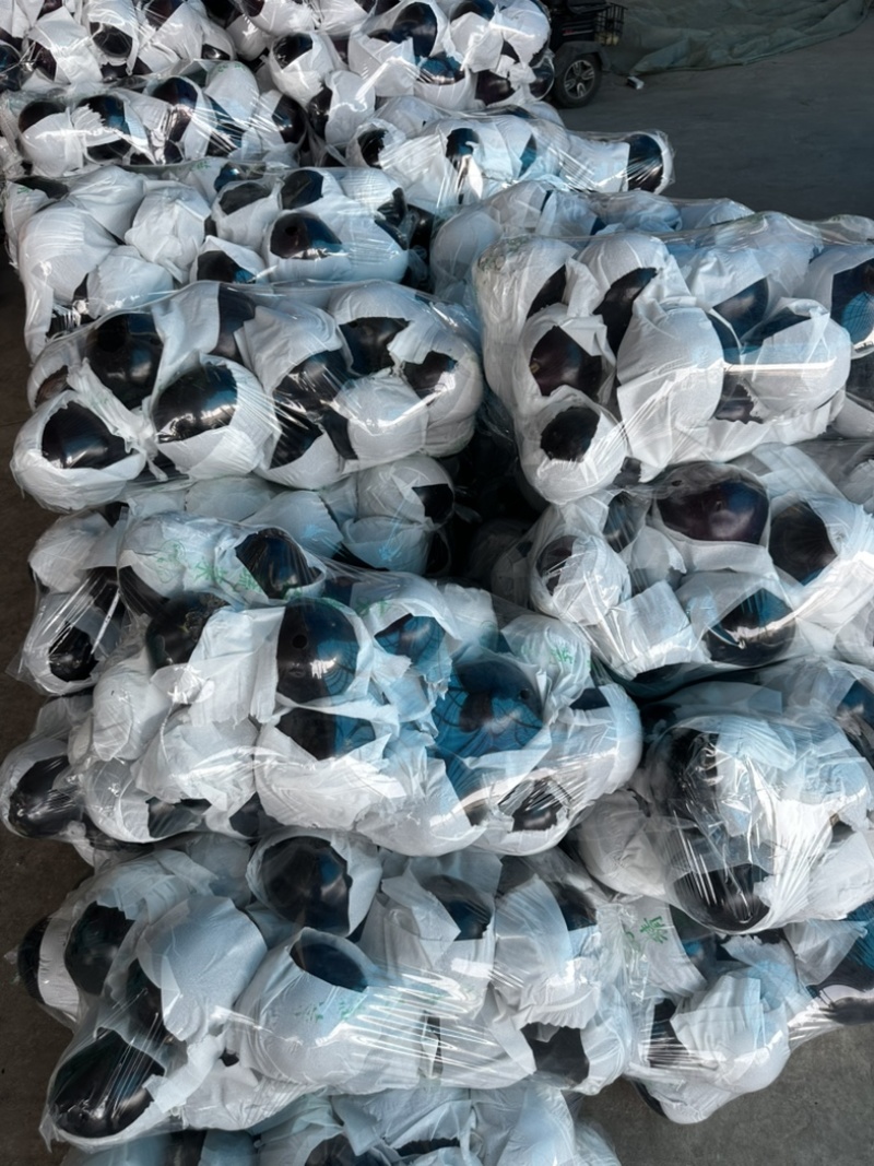 河南精品圆茄大量上市量大从优保质保量可对接商超市场