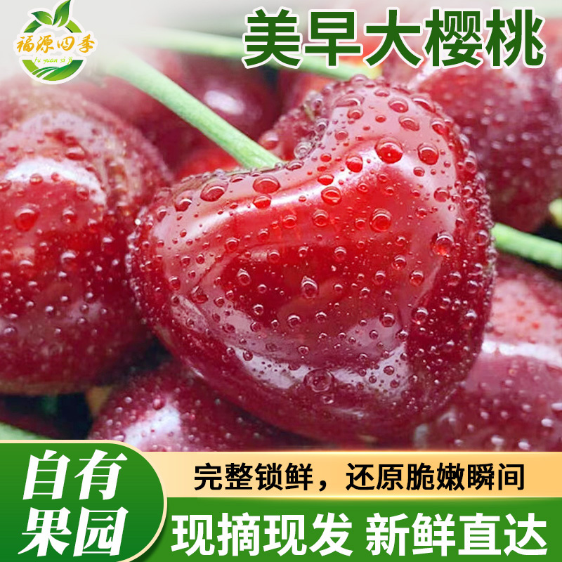 山东烟台美早大樱桃实力供应对接各大平台电商商超