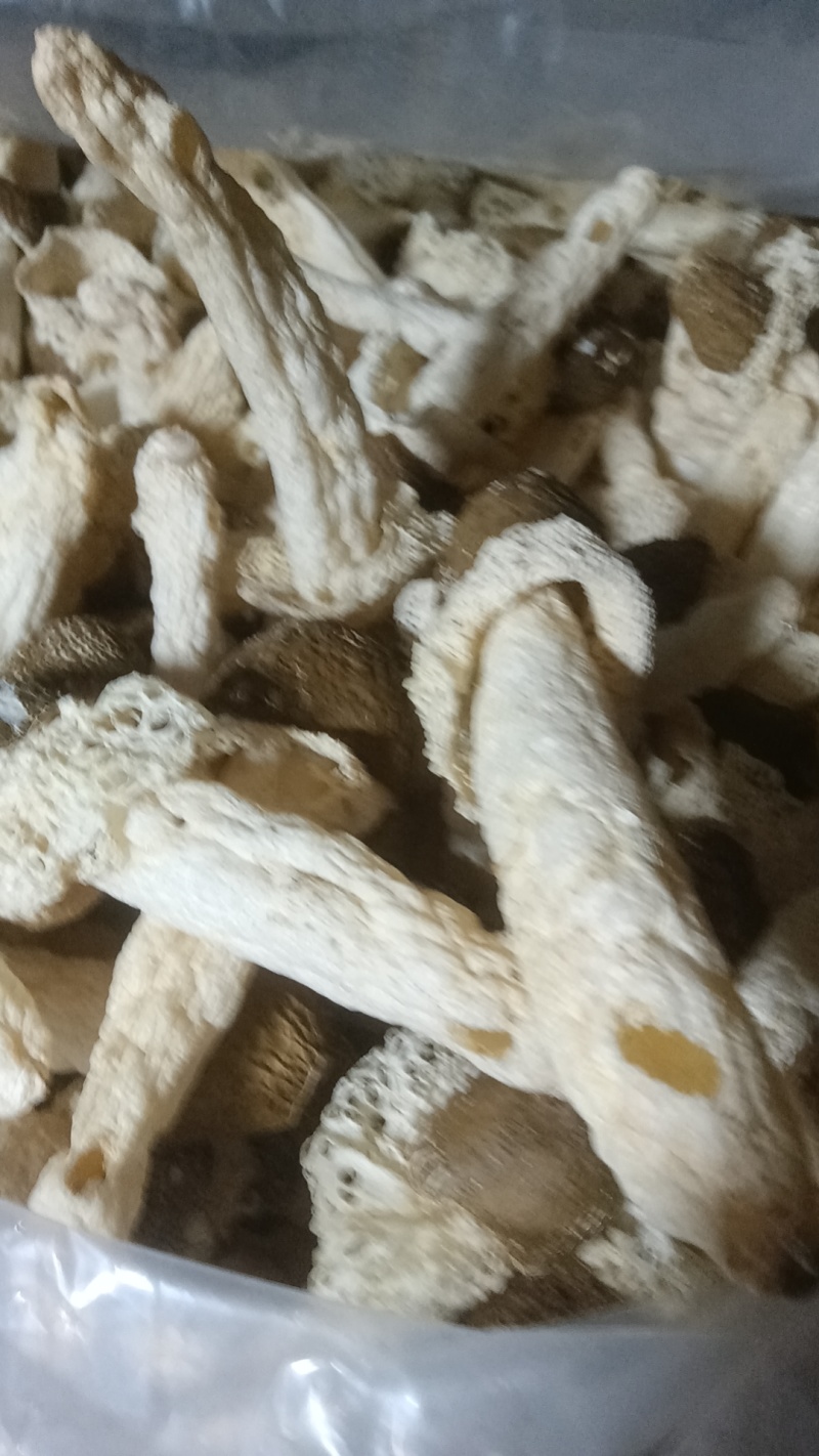 贵州黑头竹荪，防野生