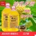 各种果酒，5斤装，可以一件代发