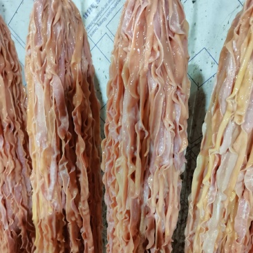 鸭肠，鲜品，冻品，都有，量大可以定做