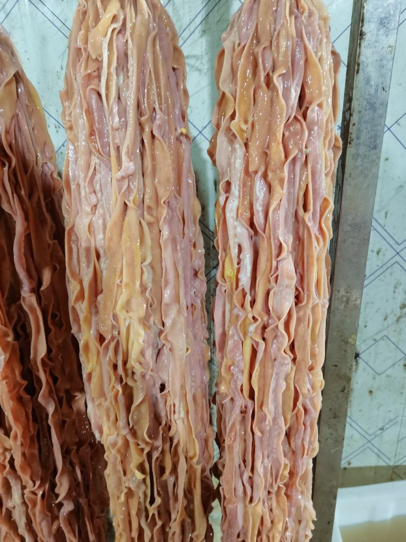 鸭肠，鲜品，冻品，都有，量大可以定做