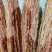 鸭肠，鲜品，冻品，都有，量大可以定做