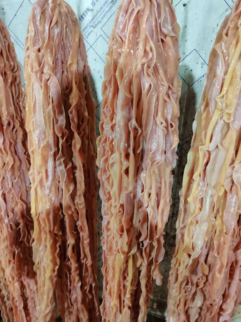 鸭肠，鲜品，冻品，都有，量大可以定做