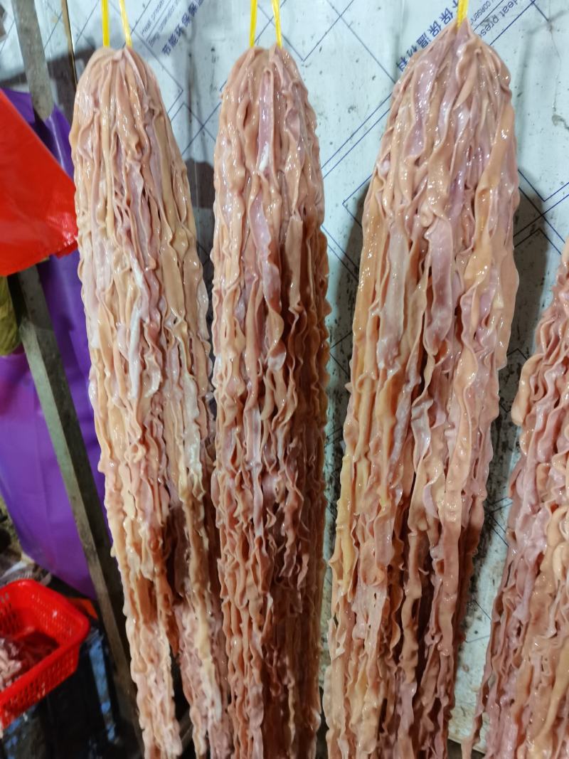鸭肠，鲜品，冻品，都有，量大可以定做