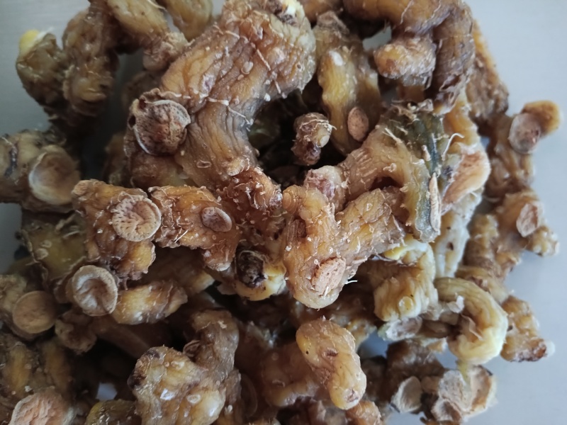 黄精2斤起售，真正野生无硫干货，大个鲜货，小个种茎。