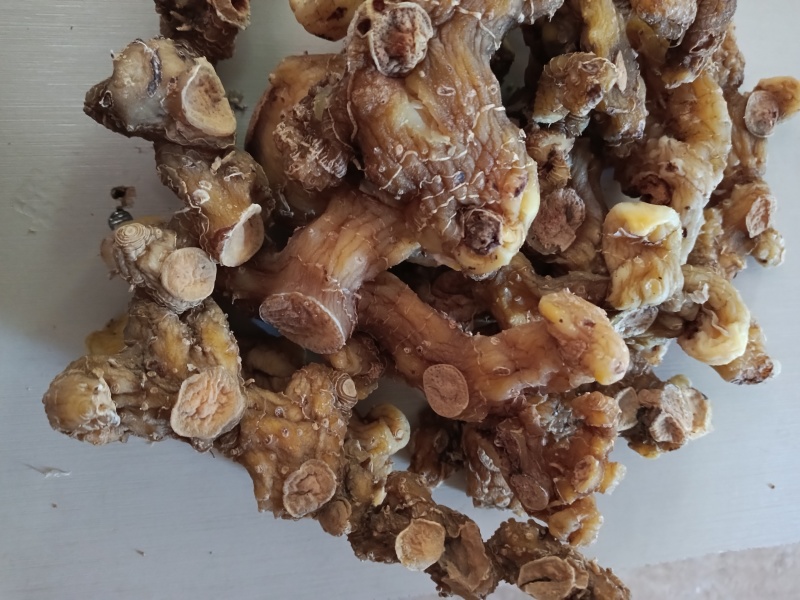 黄精2斤起售，真正野生无硫干货，大个鲜货，小个种茎。