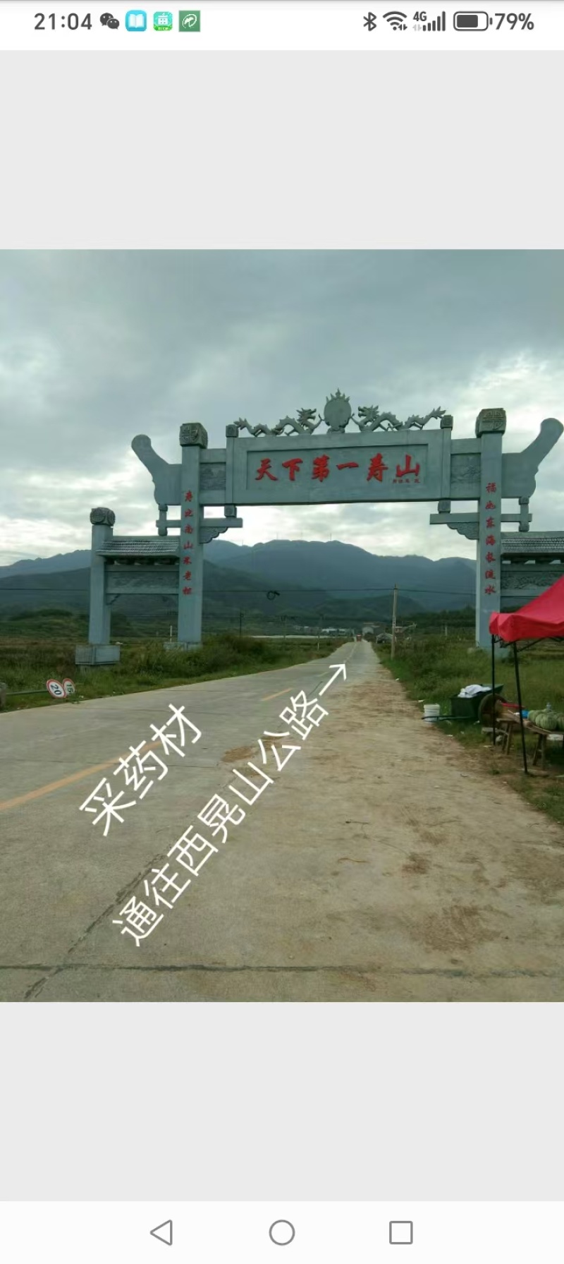 黄精2斤起售，真正野生无硫干货，大个鲜货，小个种茎。
