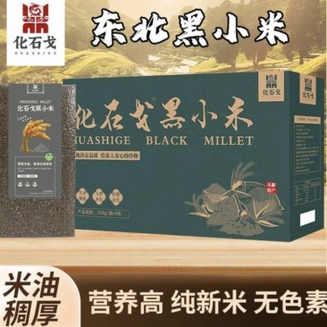 化石戈黑色小米礼盒东北特产五谷杂粮小米山地种植2.7kg