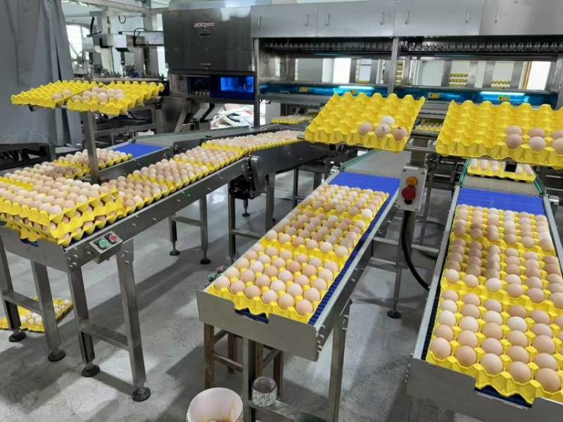广西玉林鲜鸡蛋，鸡场直供，红心精品分拣码数齐全，欢迎订购