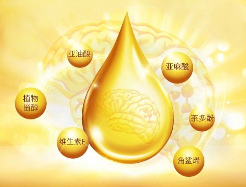 贵州紫云山茶油产地供应量大从优质量保证诚心经营欢迎咨询