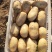 河北黄心土豆质量好价格随行对接各种电商市场量大从优