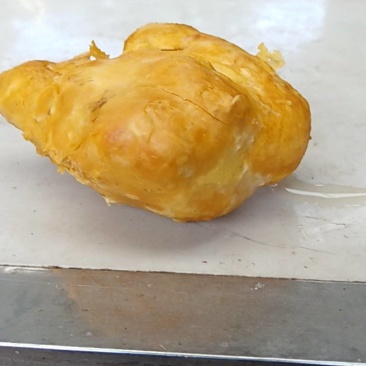 鸡宝