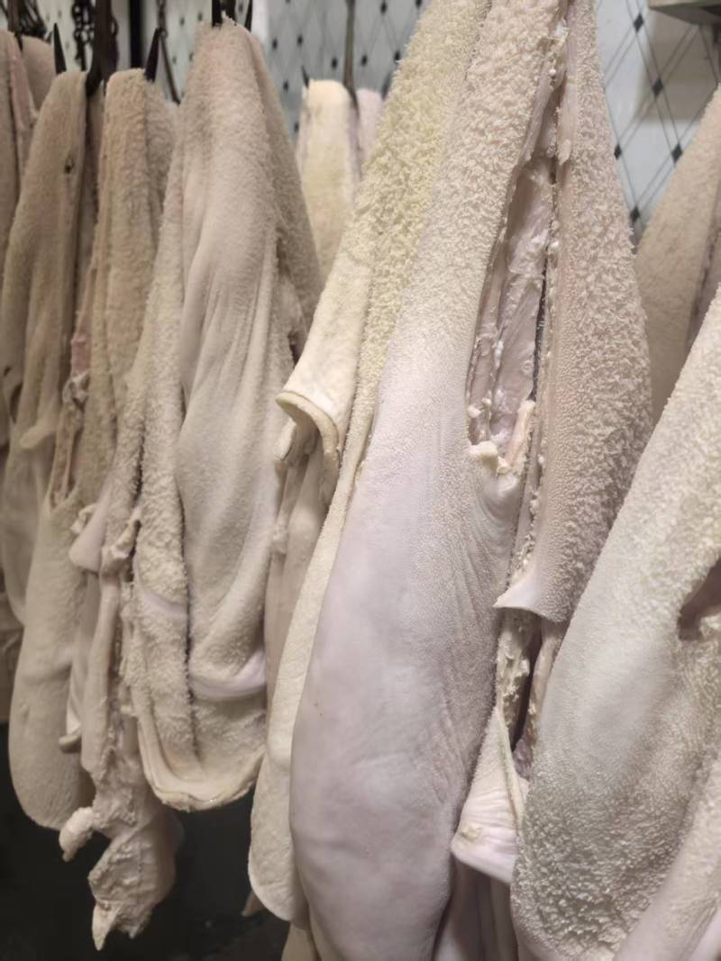 半成品牛肚大量上市产地直发，品质保证，服务周到，诚信经营