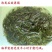 盐渍鞭炮笋马尾草，无粗梗，无异物。凉拌菜网红品