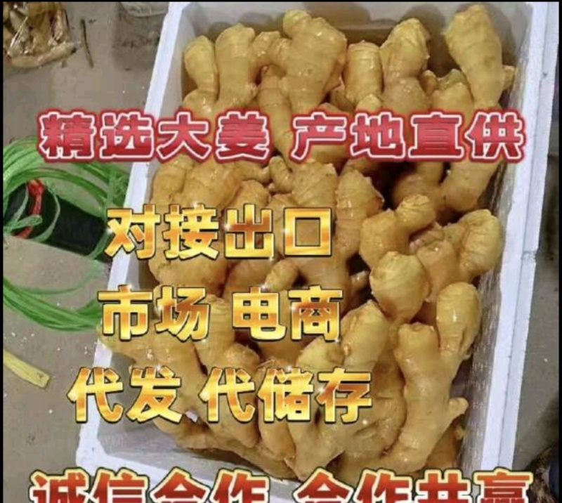 生姜产地批发品种齐全提供包装水洗上车可视频看货