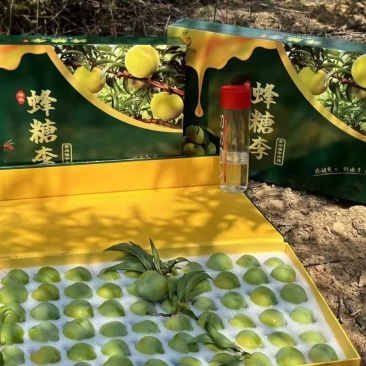 六马蜂糖李