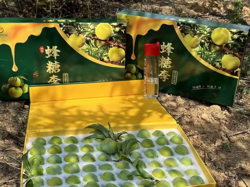 六马蜂糖李