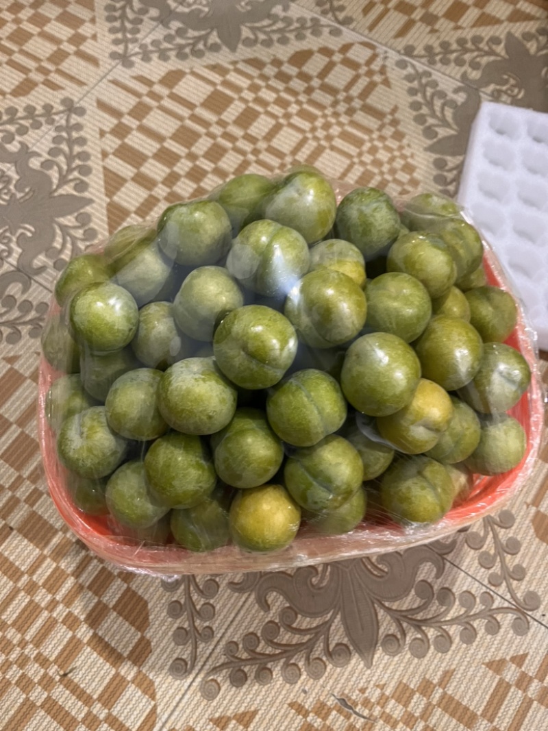 六马蜂糖李