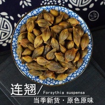 中药材连翘去柄精选连翘正品青翘无硫干货散装批发