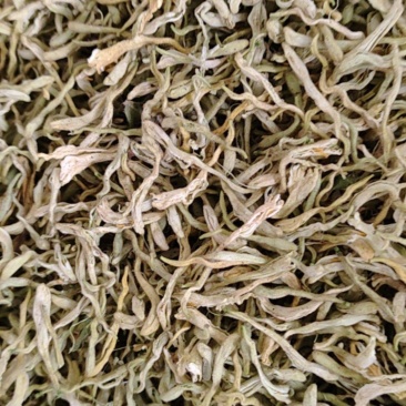 纯蕾金银花