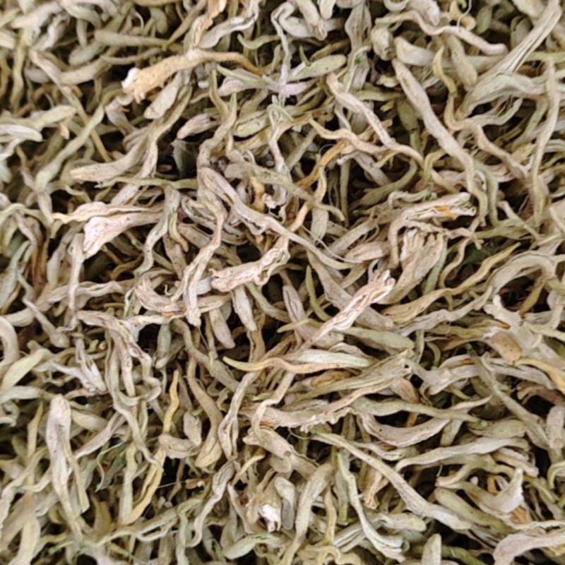 纯蕾金银花