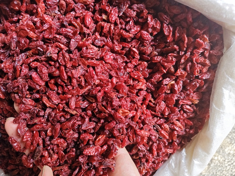 山茱萸中药材山萸肉精选枣皮新货无核散装批发