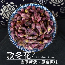 款冬花中药材正品生冬花无硫干款冬花散装批发