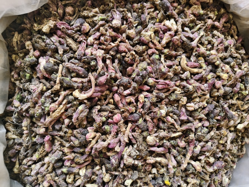 款冬花中药材正品生冬花无硫干款冬花散装批发