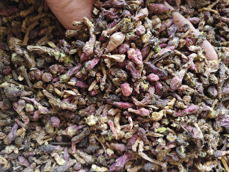款冬花中药材正品生冬花无硫干款冬花散装批发