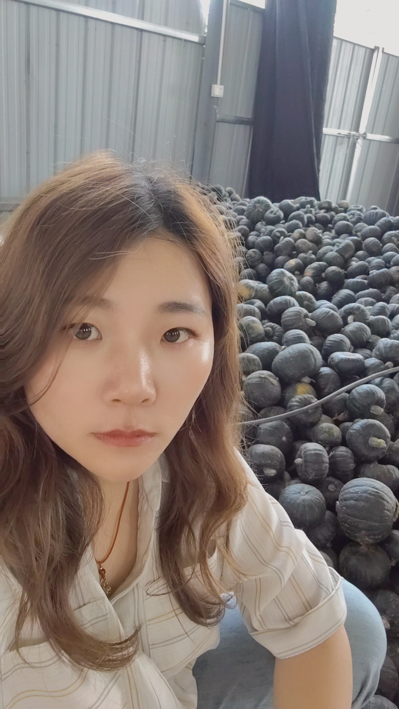 板栗南瓜大量供应，诚招合作方，感兴趣的老板可以了解一下，