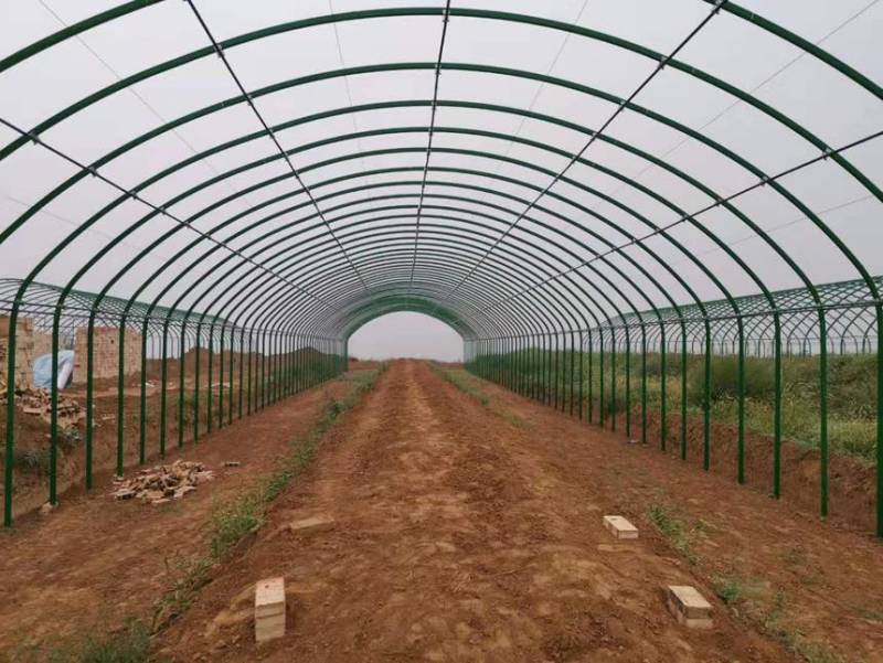 温室大棚骨架坚固耐用厂家质量保证日光棚一条龙服务