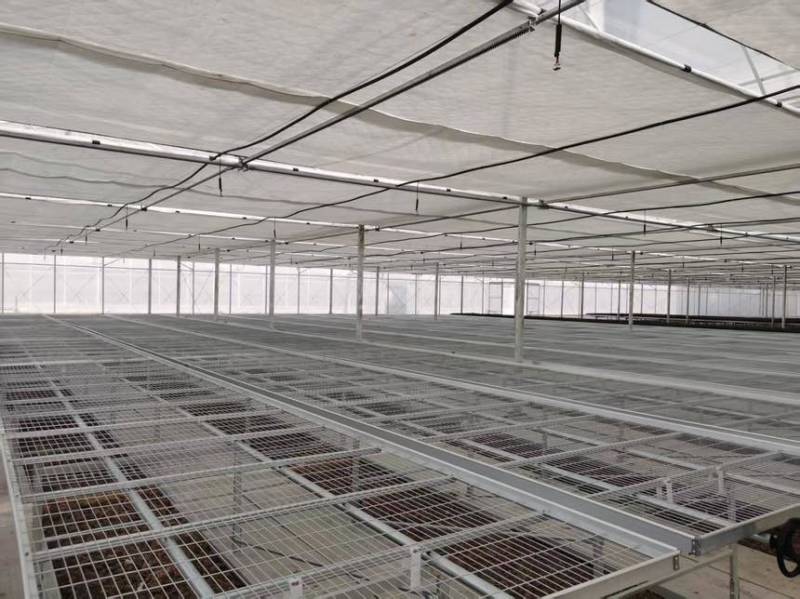 温室大棚骨架坚固耐用厂家质量保证日光棚一条龙服务