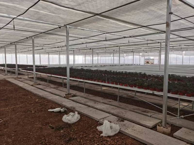 温室大棚骨架坚固耐用厂家质量保证日光棚一条龙服务
