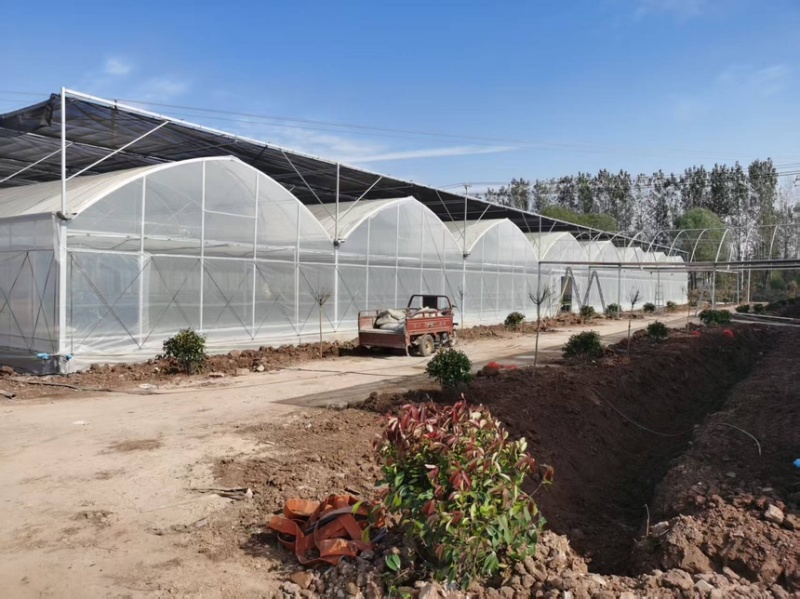 温室大棚骨架蔬菜大棚骨架养殖大棚骨架日光棚品质保证