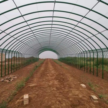 温室大棚骨架蔬菜大棚骨架养殖大棚骨架日光棚品质保证