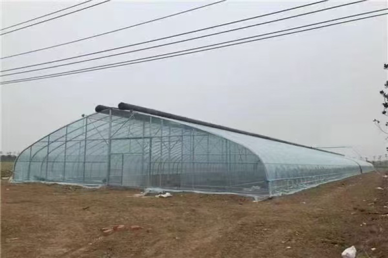 承接养殖大棚蔬菜大棚菌菇大棚定制质保二十年欢迎咨询