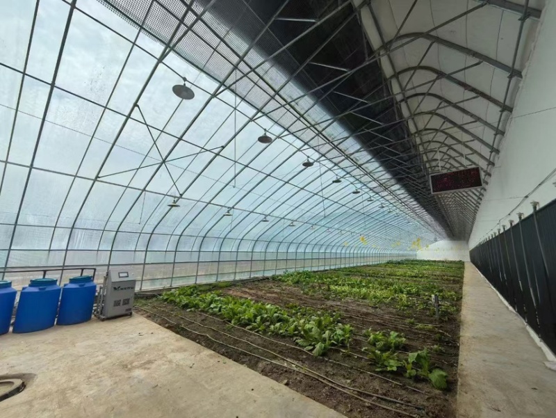 承接养殖大棚蔬菜大棚菌菇大棚定制质保二十年欢迎咨询