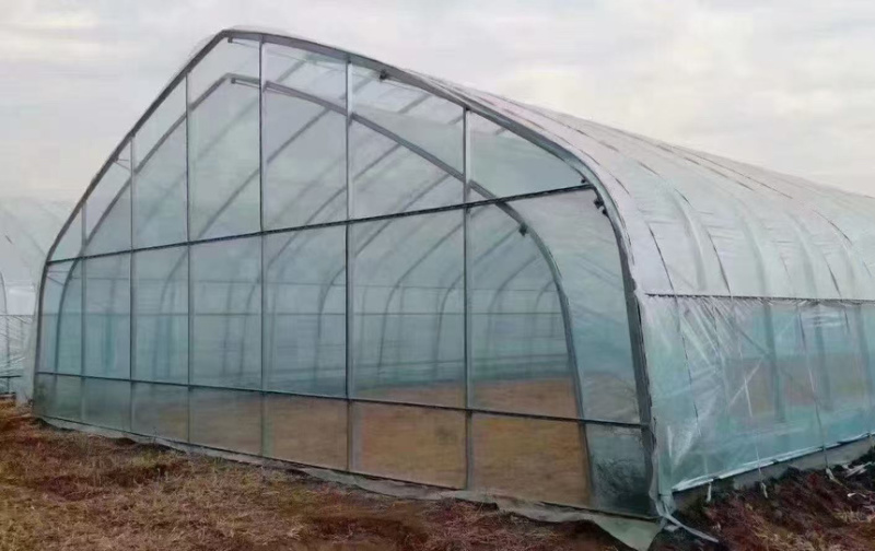 承接养殖大棚蔬菜大棚菌菇大棚定制质保二十年欢迎咨询