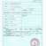 翡翠螺青螺玉螺捞汁盐焗加拿大翡翠螺螺类贝类