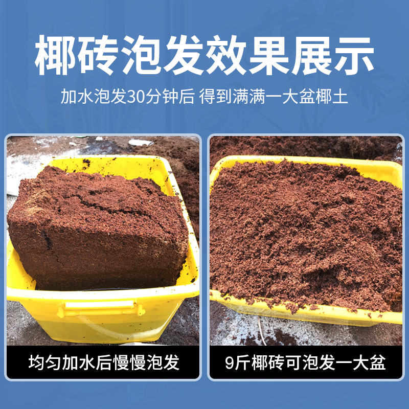 大块椰糠砖压缩脱盐营养土扦插基质原料印度椰砖