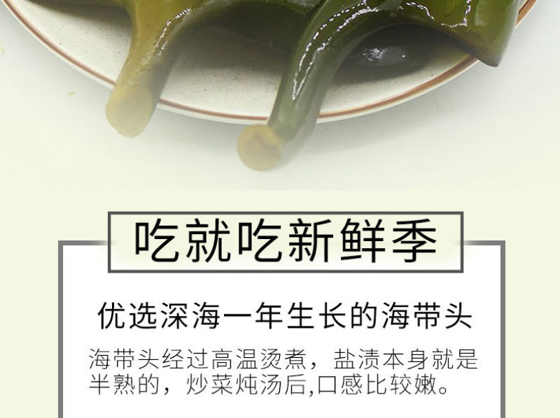包邮）新鲜海带头盐渍海带厚片海鲜绿色昆布海带丝结海带根