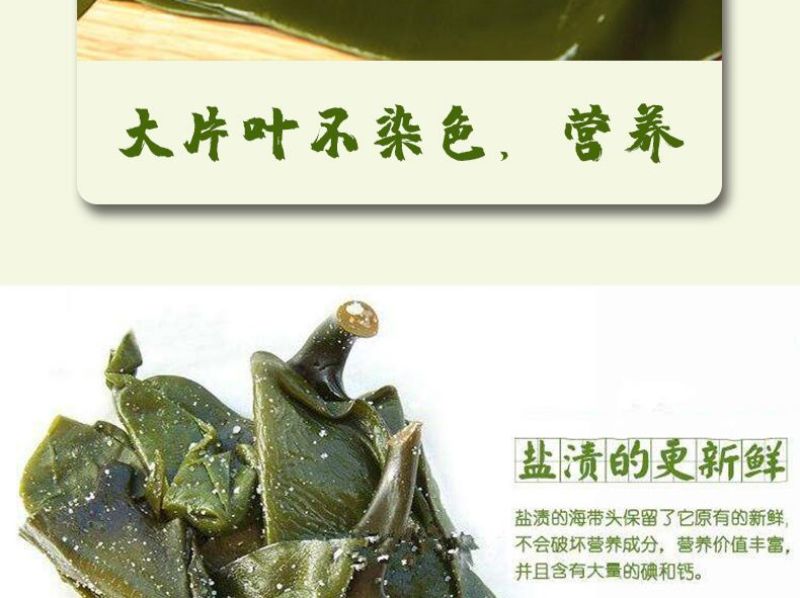 包邮）新鲜海带头盐渍海带厚片海鲜绿色昆布海带丝结海带根